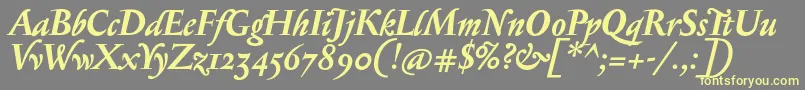 SerapionosfBolditalic Font – Yellow Fonts on Gray Background