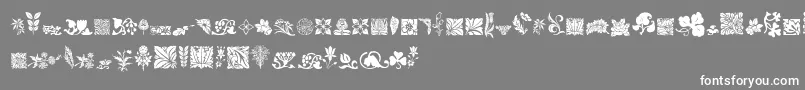 RoughFlowers Font – White Fonts on Gray Background