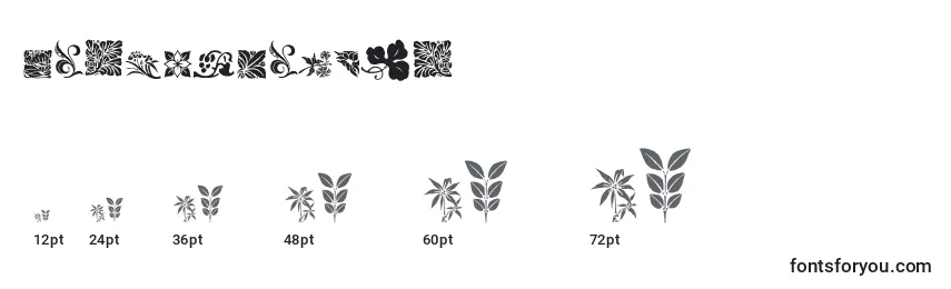 RoughFlowers Font Sizes