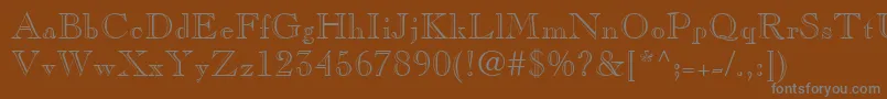 CaslonOpenFaceLt Font – Gray Fonts on Brown Background