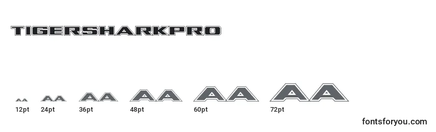 Размеры шрифта Tigersharkpro