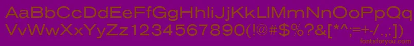 AnconaExRegular Font – Brown Fonts on Purple Background