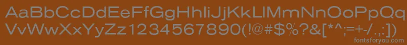 AnconaExRegular Font – Gray Fonts on Brown Background