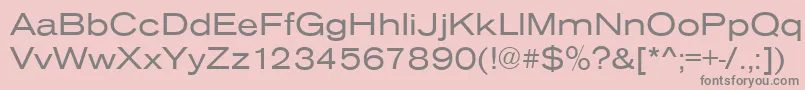 AnconaExRegular-Schriftart – Graue Schriften auf rosa Hintergrund