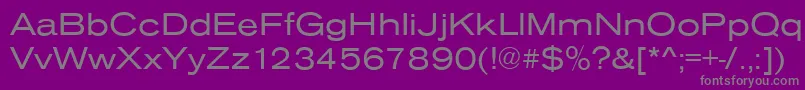 AnconaExRegular Font – Gray Fonts on Purple Background