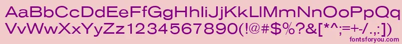 AnconaExRegular Font – Purple Fonts on Pink Background