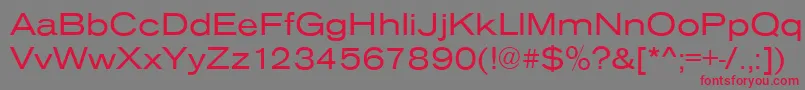 AnconaExRegular-Schriftart – Rote Schriften auf grauem Hintergrund