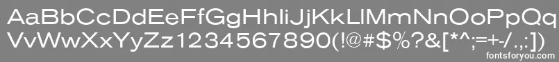 フォントAnconaExRegular – 灰色の背景に白い文字