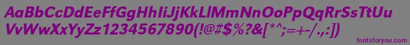 More about UrwgrotesktmednarOblique Font UrwgrotesktmednarOblique Font – Purple Fonts on Gray Background