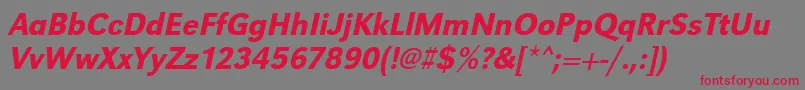 UrwgrotesktmednarOblique Font – Red Fonts on Gray Background