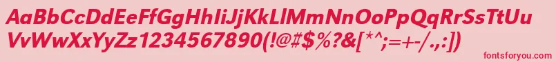 UrwgrotesktmednarOblique Font – Red Fonts on Pink Background