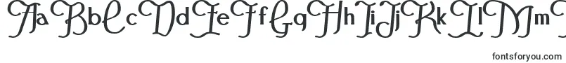 FestivalflourishBold Font – Fonts for Corel Draw