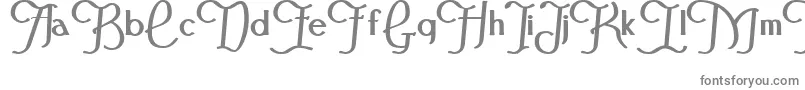 FestivalflourishBold Font – Gray Fonts on White Background
