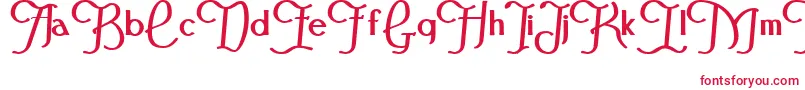 FestivalflourishBold Font – Red Fonts on White Background