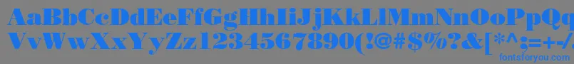 Borjomiblackc Font – Blue Fonts on Gray Background