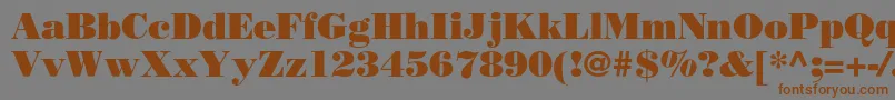 Borjomiblackc Font – Brown Fonts on Gray Background