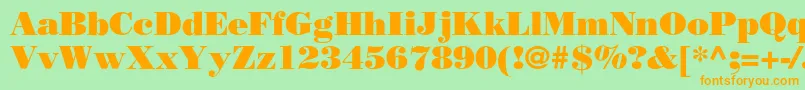 Borjomiblackc Font – Orange Fonts on Green Background