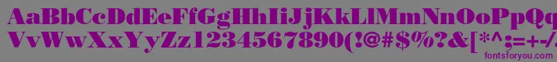 Borjomiblackc Font – Purple Fonts on Gray Background