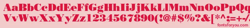 Borjomiblackc Font – Red Fonts on Pink Background