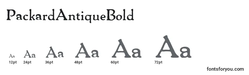 PackardAntiqueBold Font Sizes