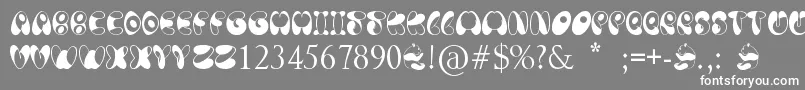 PandaSpots Font – White Fonts on Gray Background
