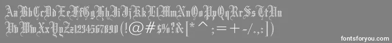 フォントDrpogothicc – 灰色の背景に白い文字