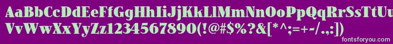 JimbostdBlackcondensed Font – Green Fonts on Purple Background