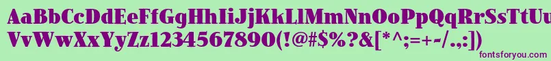 JimbostdBlackcondensed Font – Purple Fonts on Green Background