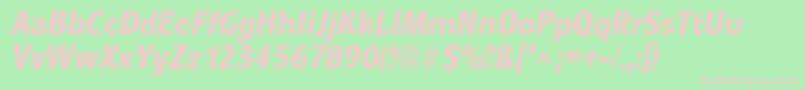 RoundestBoldItalic Font – Pink Fonts on Green Background