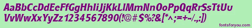 RoundestBoldItalic Font – Purple Fonts on Green Background