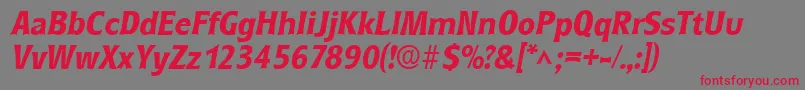RoundestBoldItalic Font – Red Fonts on Gray Background
