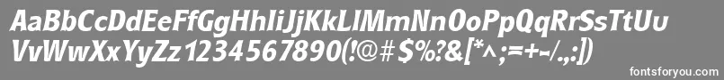 RoundestBoldItalic Font – White Fonts on Gray Background