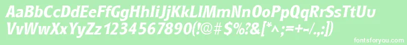 RoundestBoldItalic Font – White Fonts on Green Background