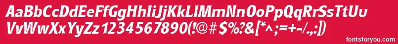 RoundestBoldItalic Font – White Fonts on Red Background
