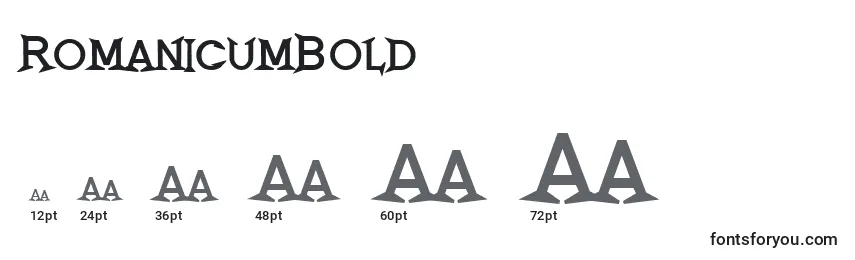 RomanicumBold Font Sizes