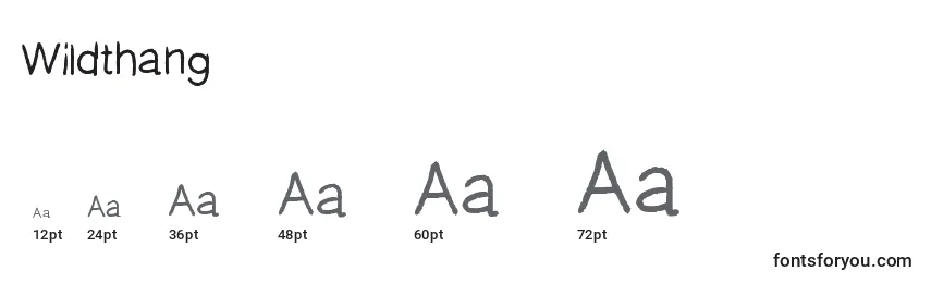 Wildthang Font Sizes