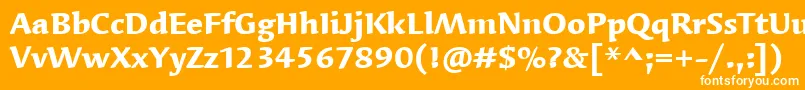 フォントSyndorItcBold – オレンジの背景に白い文字