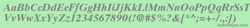 フォントTimestenltstdBolditalic – 緑の背景に灰色の文字