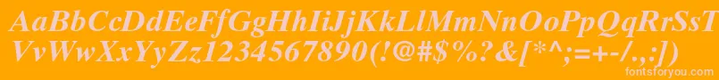 TimestenltstdBolditalic Font – Pink Fonts on Orange Background