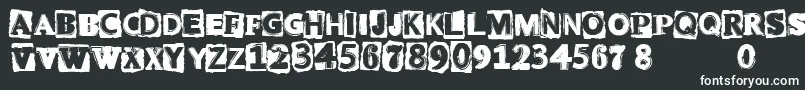 CfpunkattitudeRegular Font – White Fonts