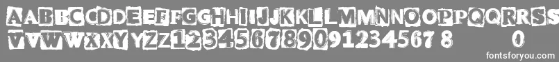 CfpunkattitudeRegular Font – White Fonts on Gray Background