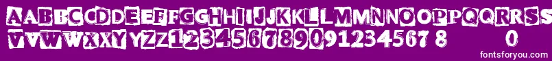 CfpunkattitudeRegular-Schriftart – Weiße Schriften auf violettem Hintergrund