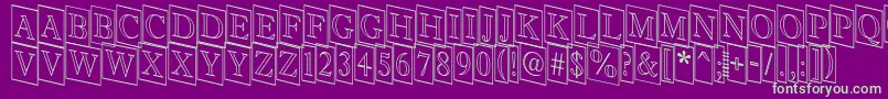 Antiqu9 Font – Green Fonts on Purple Background