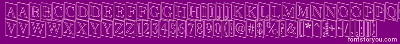 Antiqu9 Font – Pink Fonts on Purple Background