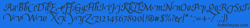 GaiusLtBoldSwashBeginning Font – Black Fonts on Blue Background