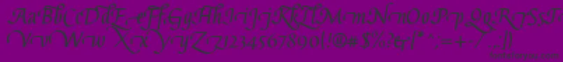 GaiusLtBoldSwashBeginning Font – Black Fonts on Purple Background