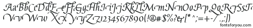 GaiusLtBoldSwashBeginning Font – Elegant Fonts