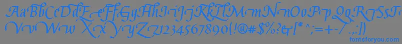 GaiusLtBoldSwashBeginning Font – Blue Fonts on Gray Background