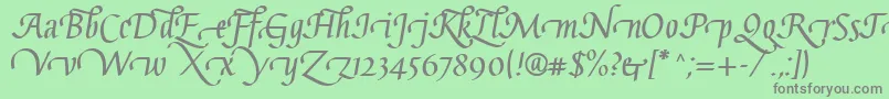 GaiusLtBoldSwashBeginning Font – Gray Fonts on Green Background
