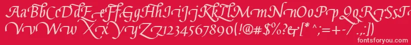 GaiusLtBoldSwashBeginning Font – Pink Fonts on Red Background